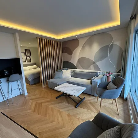 2 Bedroom Renovated In The Heart Of Paris